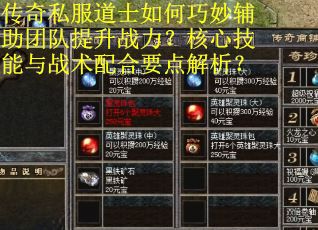 传奇私服道士如何巧妙辅助团队提升战力？核心技能与战术配合要点解析？