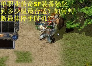 单职业传奇SF装备强化到多少级最合适?如何判断最佳停手时机?