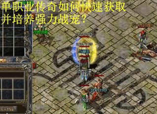 单职业传奇如何快速获取并培养强力战宠?