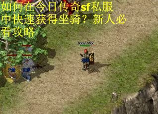 如何在今日传奇sf私服中快速获得坐骑？新人必看攻略