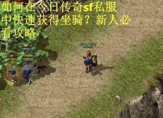 如何在今日传奇sf私服中快速获得坐骑？新人必看攻略
