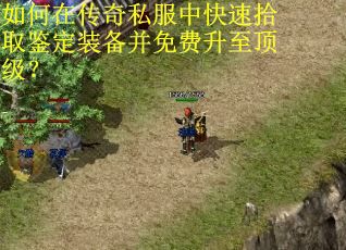 如何在传奇私服中快速拾取鉴定装备并免费升至顶级？