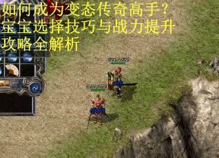 如何成为变态传奇高手？宝宝选择技巧与战力提升攻略全解析