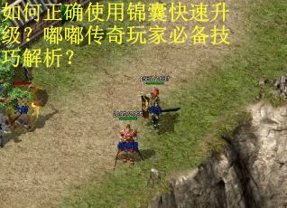 如何正确使用锦囊快速升级？嘟嘟传奇玩家必备技巧解析？