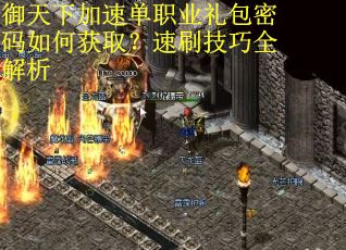 御天下加速单职业礼包密码如何获取？速刷技巧全解析