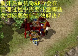 新开热血传奇SF行会在管理过程中需要注意哪些关键问题如何高效解决？