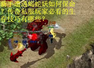 新手遭遇蝎蛇妖如何保命？传奇私服玩家必看的生存技巧有哪些？