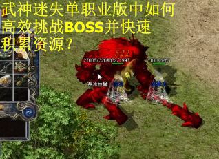 武神迷失单职业版中如何高效挑战BOSS并快速积累资源？