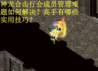 神龙合击行会成员管理难题如何解决？高手有哪些实用技巧？
