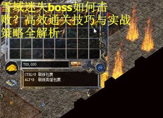 雪域迷失boss如何击败？高效通关技巧与实战策略全解析