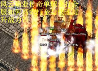 风云霸业传奇单职业打金服如何高效打金与快速提升战力？